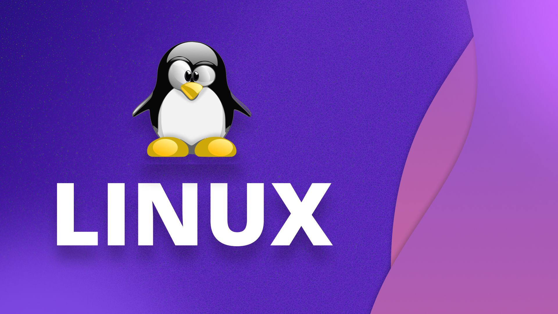 Основы Linux